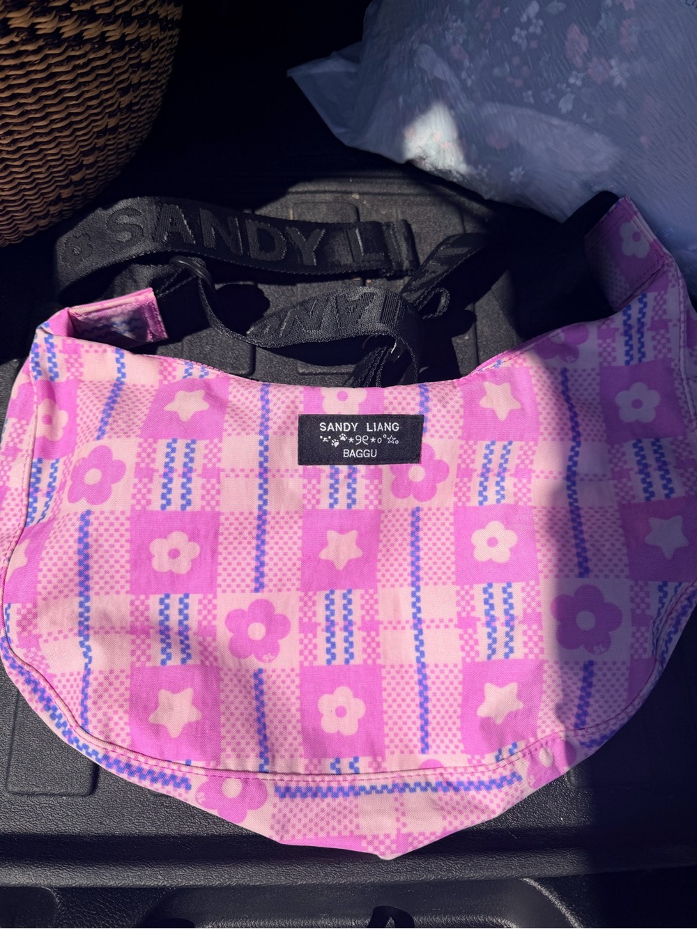 Baggu x Sandy Liang collab
